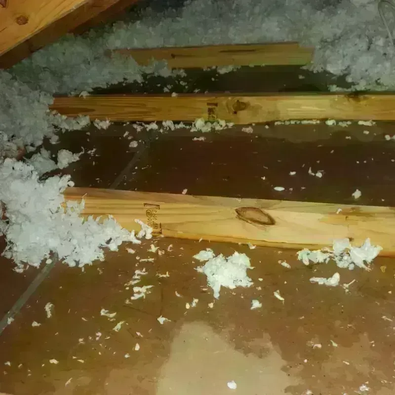 Attic Water Damage in Audubon Park, NJ